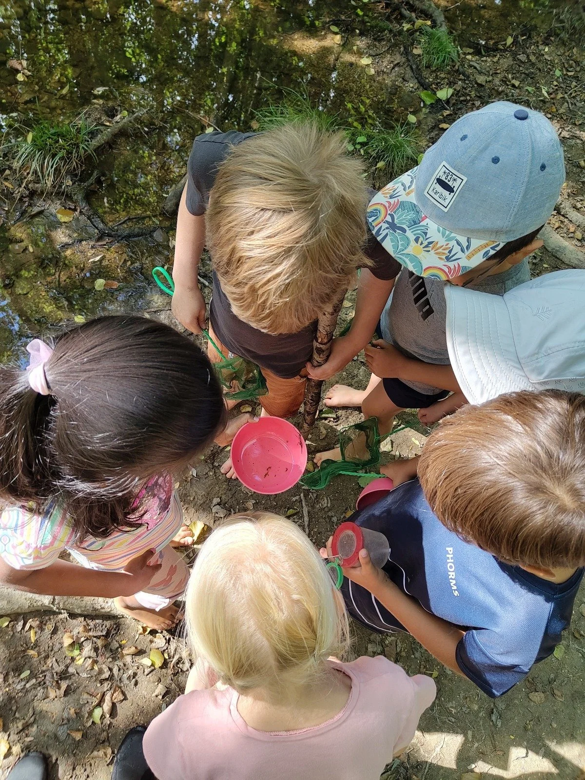 Kinder beim beobachten
