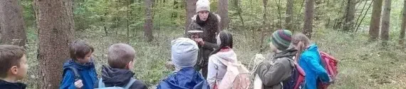 Erklärungen in der Natur