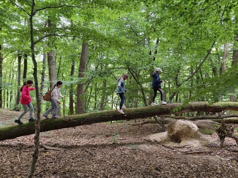Kids beim Baumbalancieren