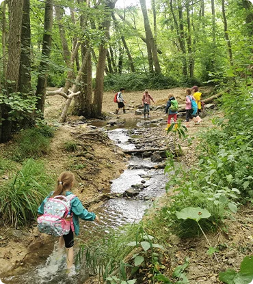 kinder-entdecken-den-wald
