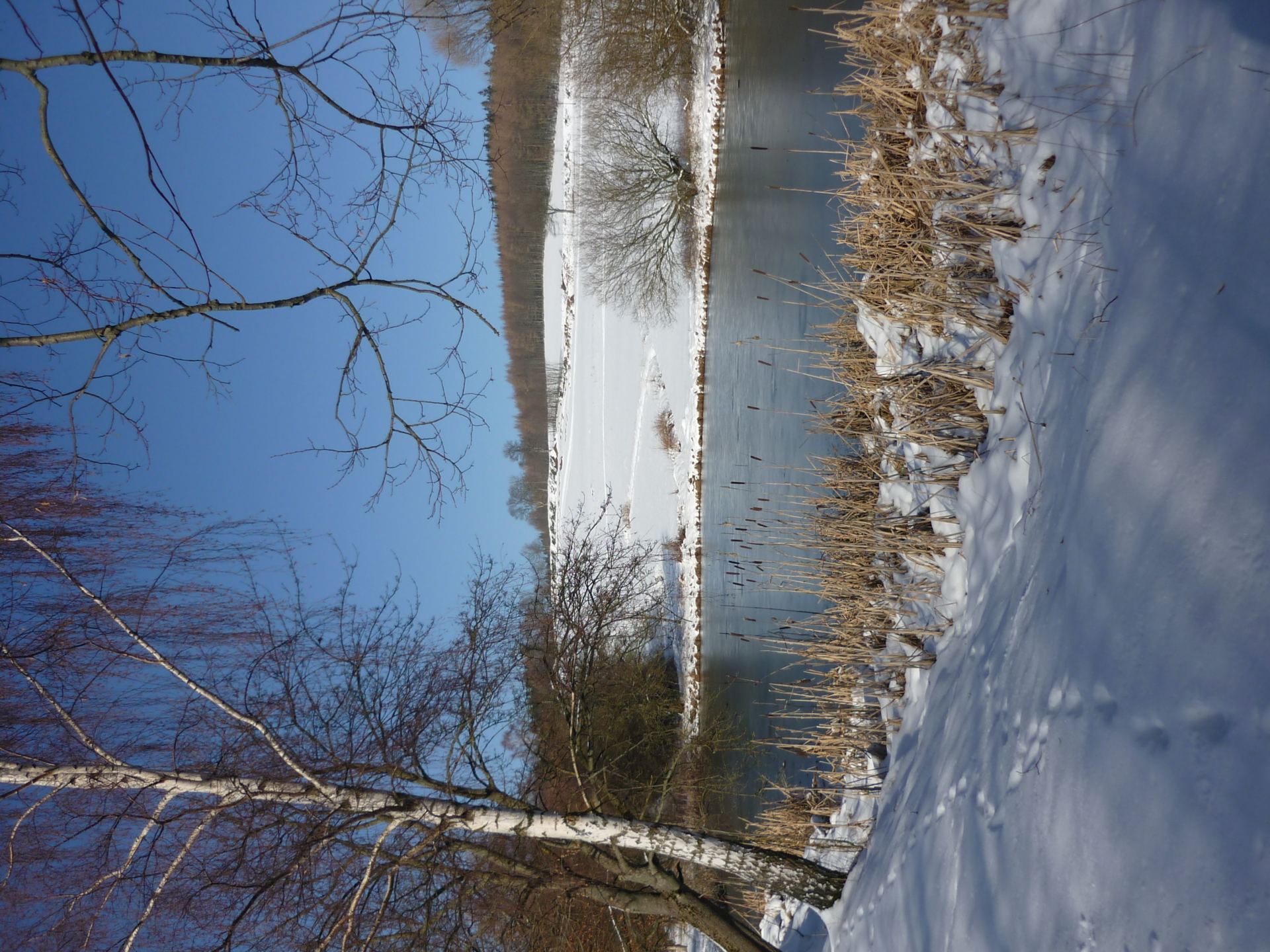 Schwemmteiche 01 Mende