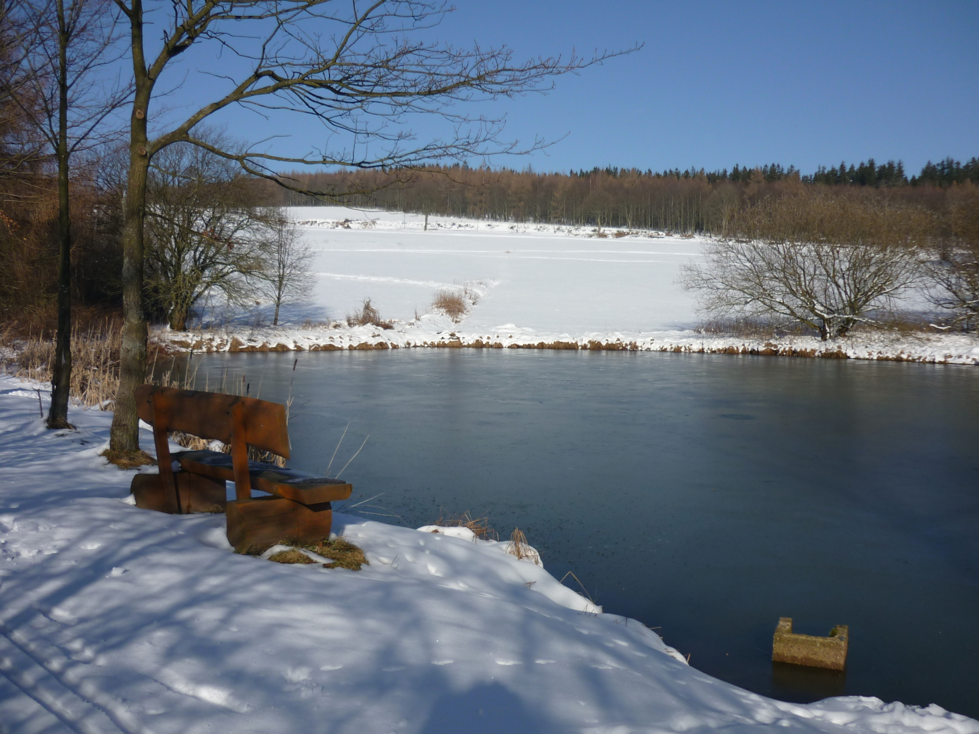 Schwemmteiche 03 Mende