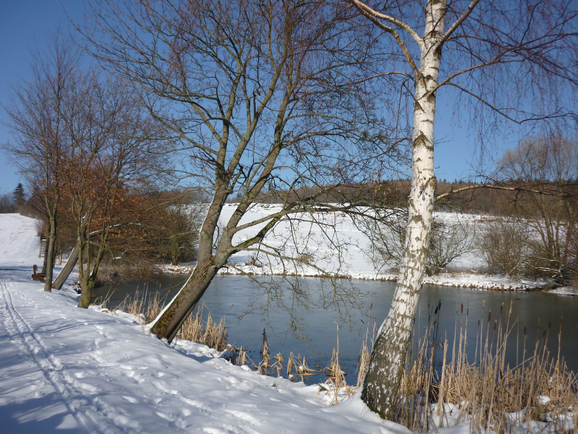 Schwemmteiche 04 Mende