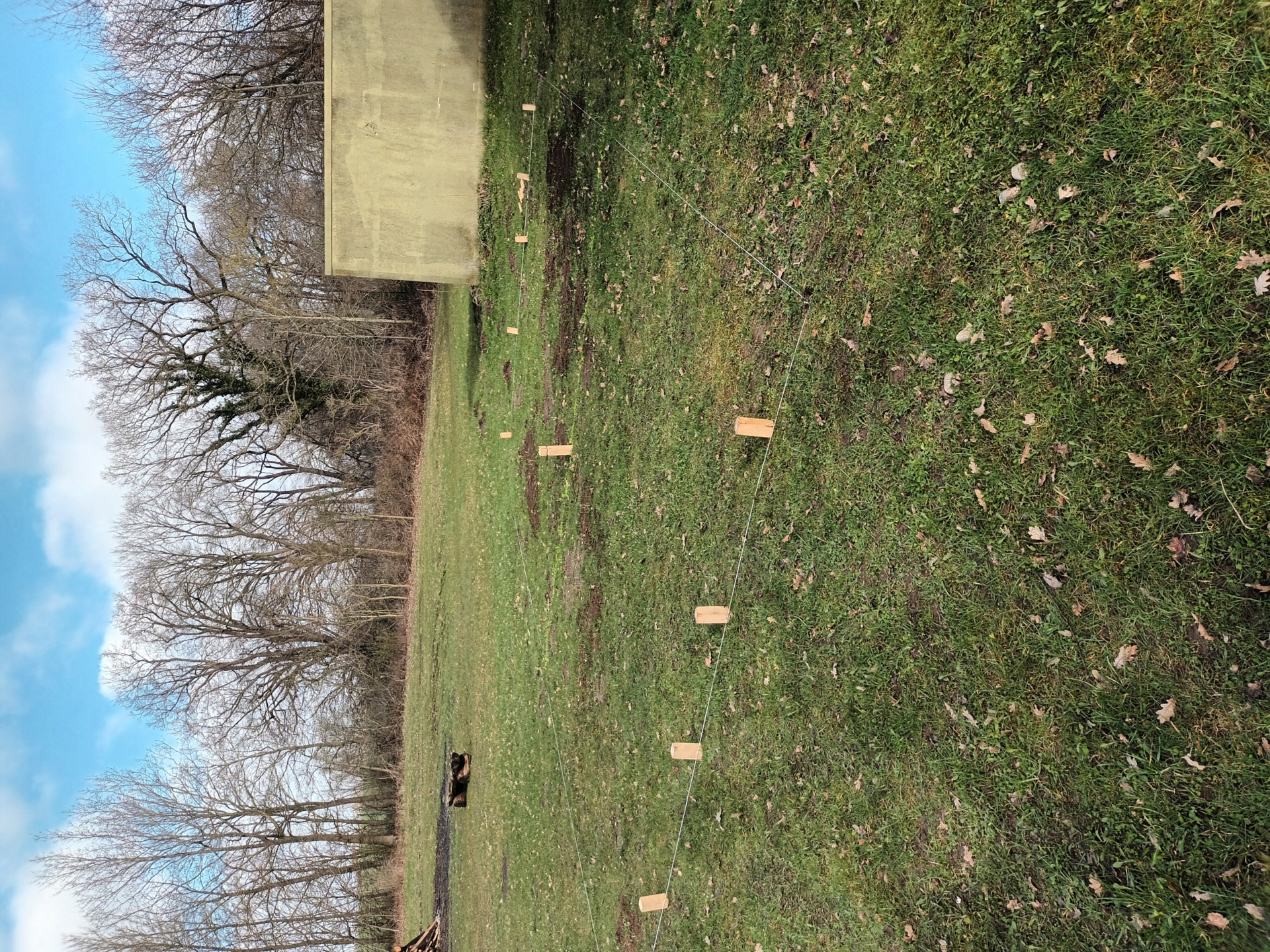 KUBB Feld