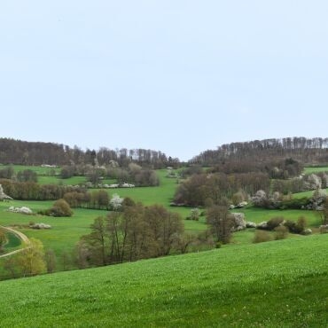 Natura 2000 Überblick Friedigerode_LPV SE