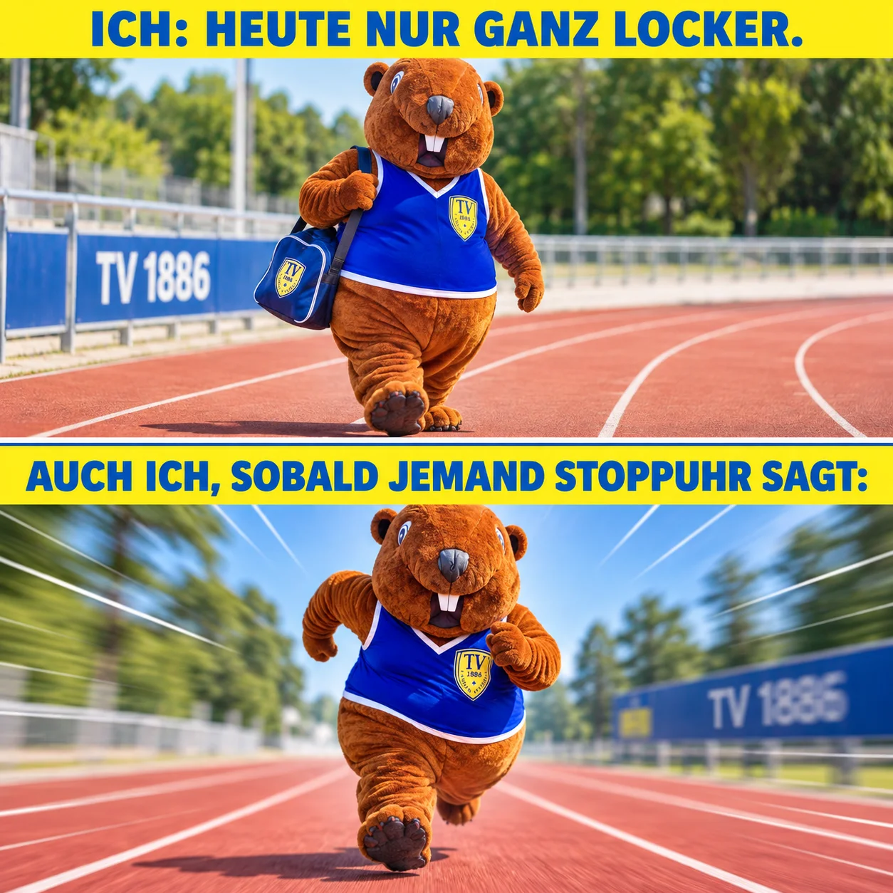 Bruno kommt gemütlich zum Training