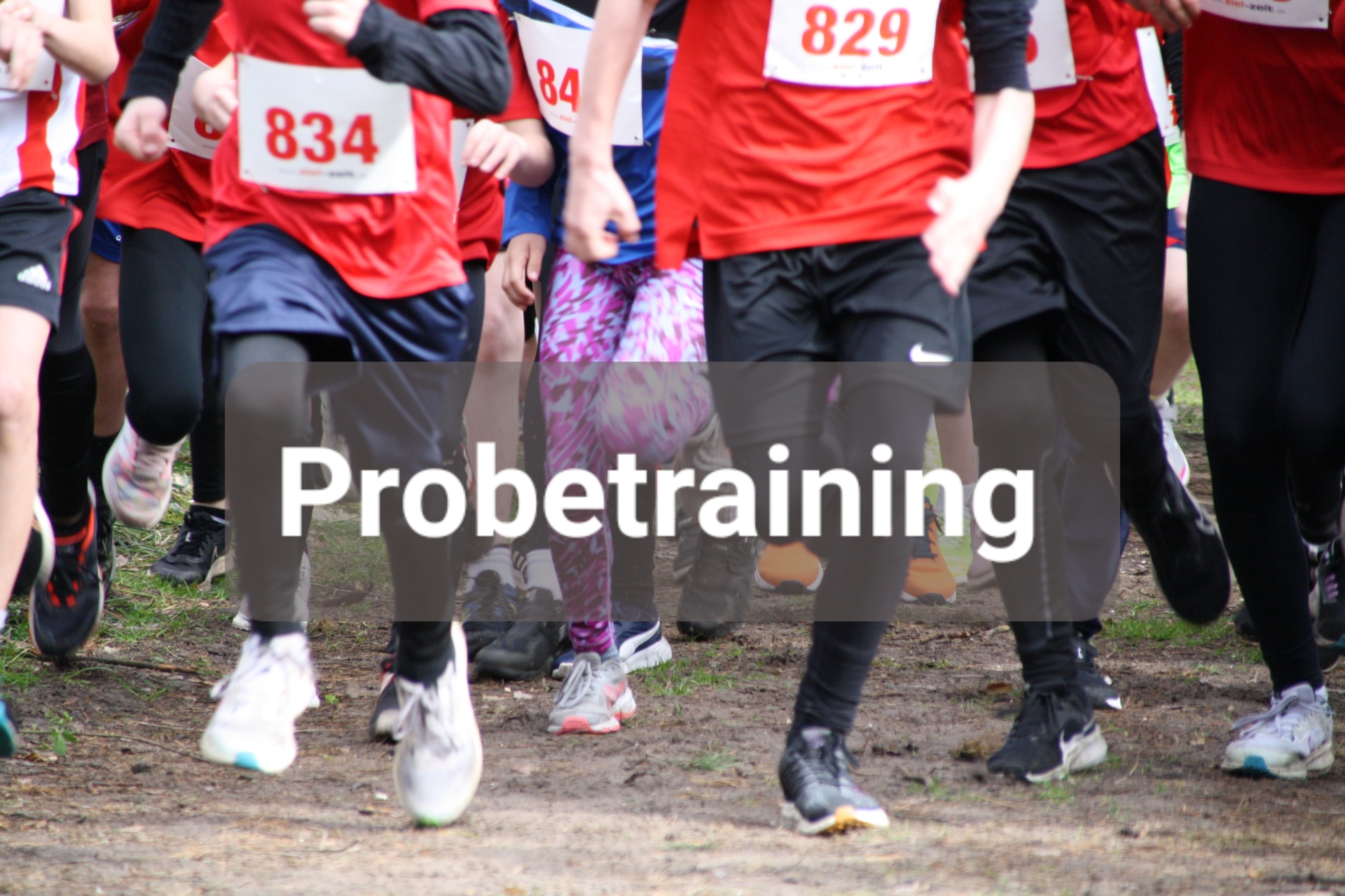 Probetraining