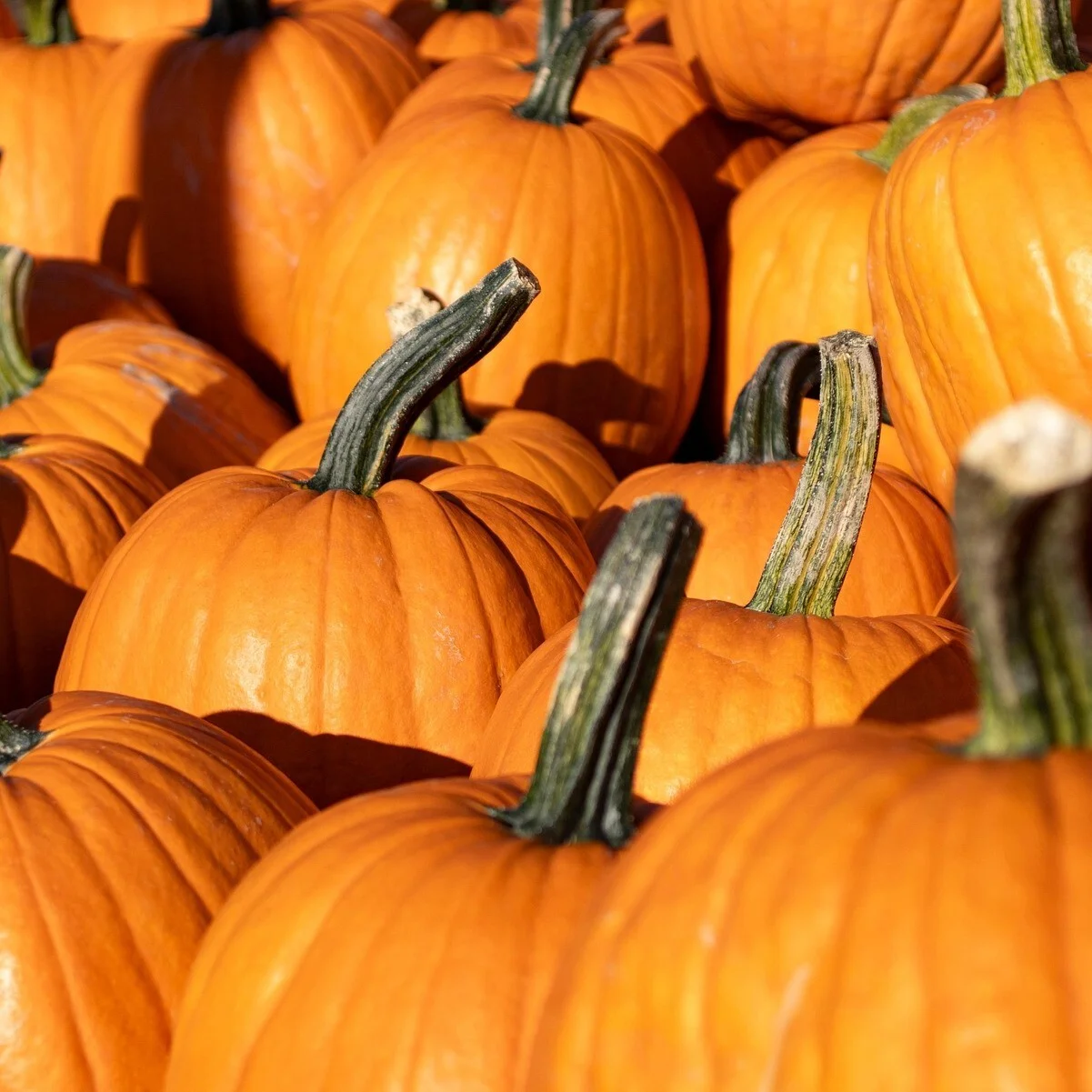 Pumpkins