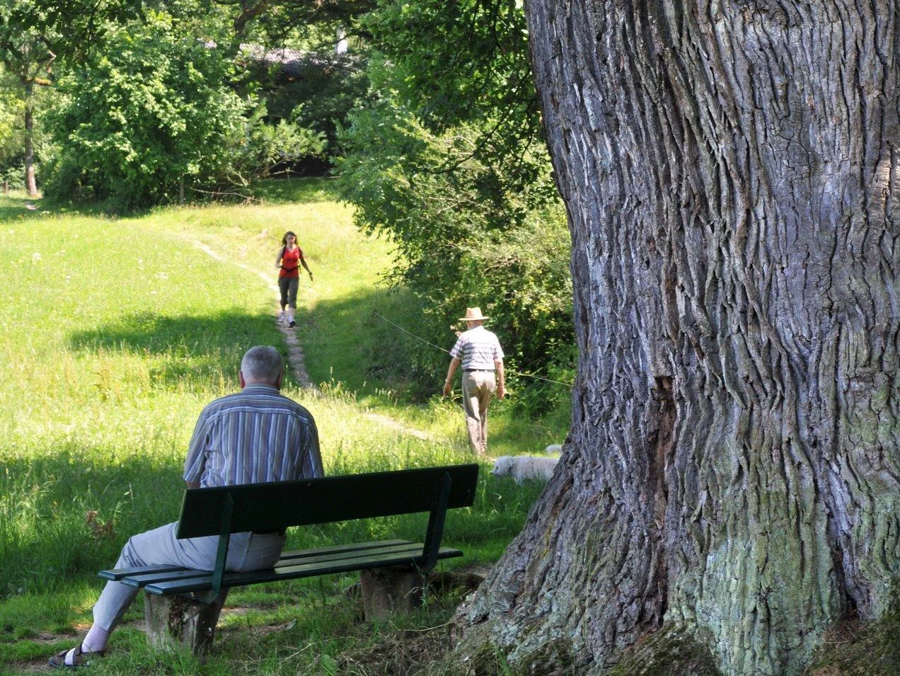 Spaziergänger auf Parkbank