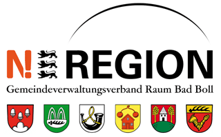 N Region Logo