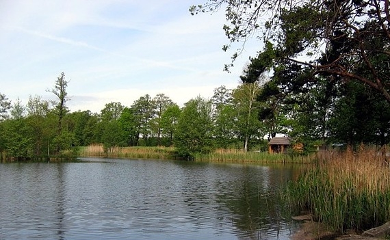 Teich