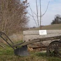 Ettenhausen an der Suhl 4