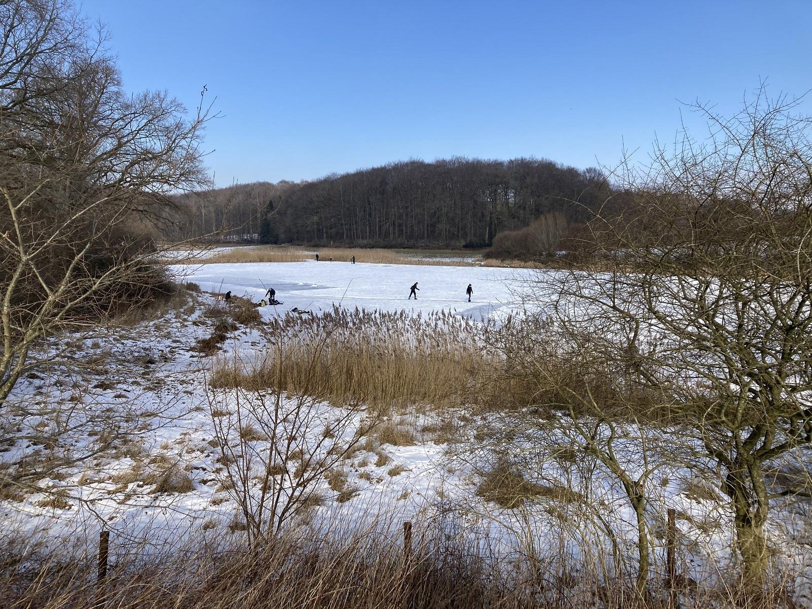 Im Bild: Schlittschuhläufer auf dem zugefrorenen Blesenteich, im Hintergrund  der Wald des Adeligen Kloster Preetz; Quelle: Gemeinde Pohnsdorf