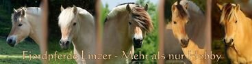 Banner Fjordpferde-linzer