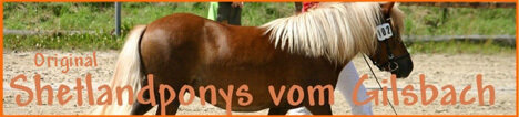 Banner_vom_Gilsbach