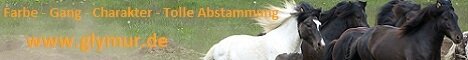 Banner www.glymur.de
