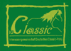 classic_pony