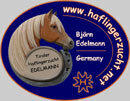 haflinger-edelmann