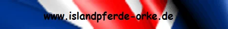 islandpferde-orke-de