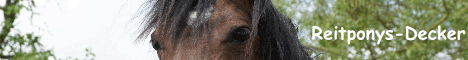 reitponys-decker-de
