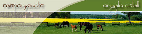 reitponyzucht-colell