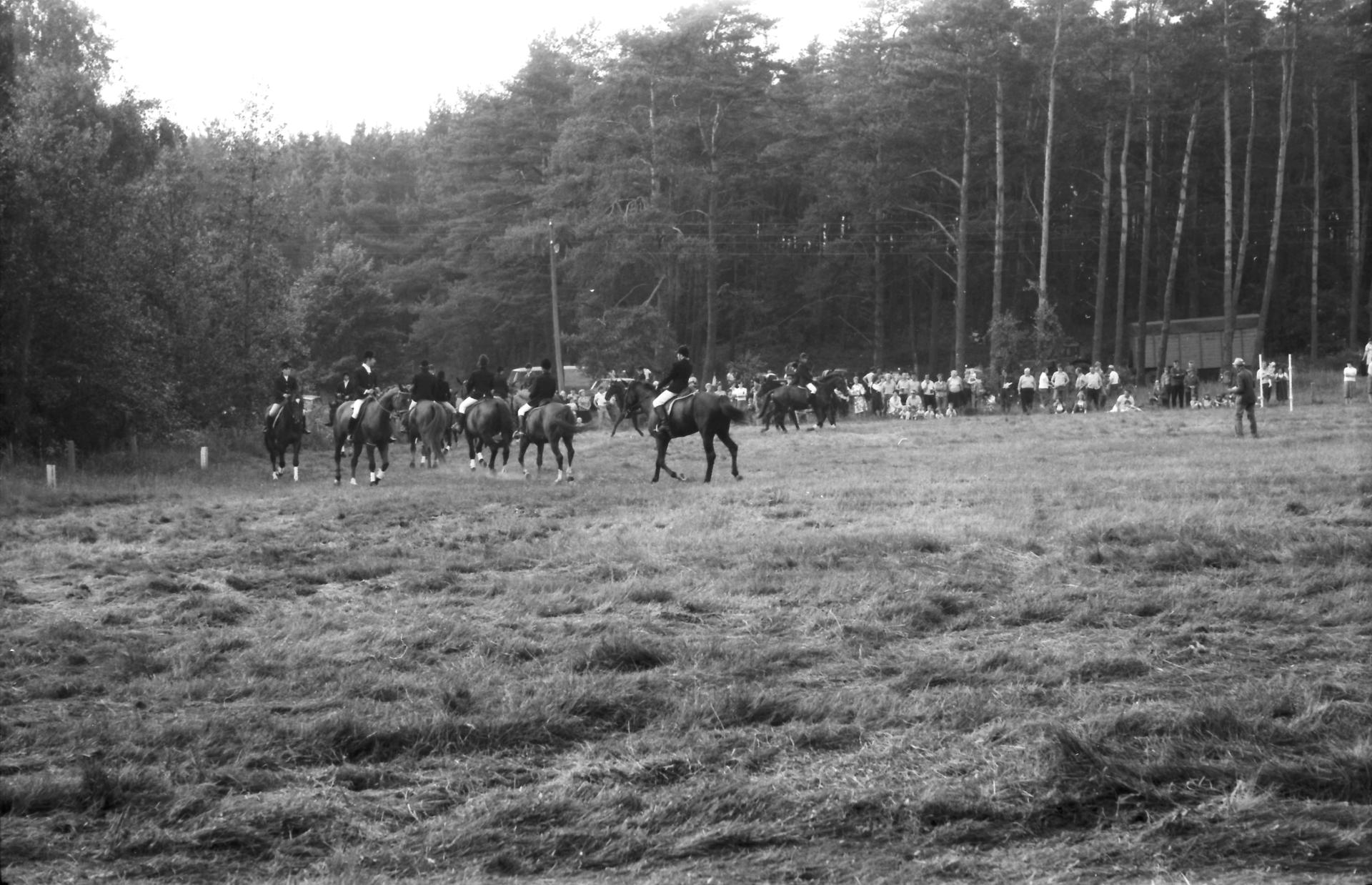 700-Jahrfeier 1981 Pferdesport (6)