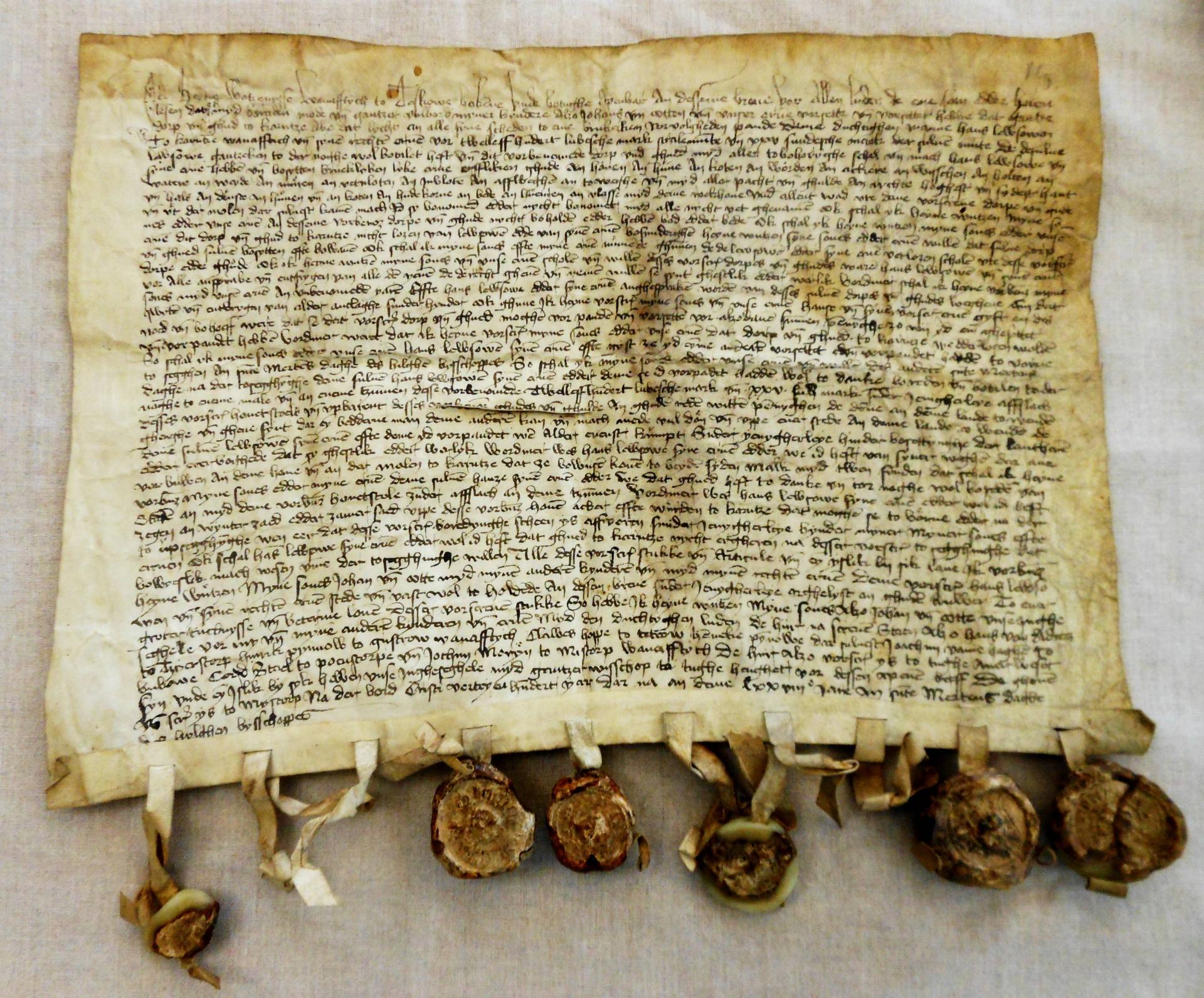 Die Urkunde vom 11.11.1478.