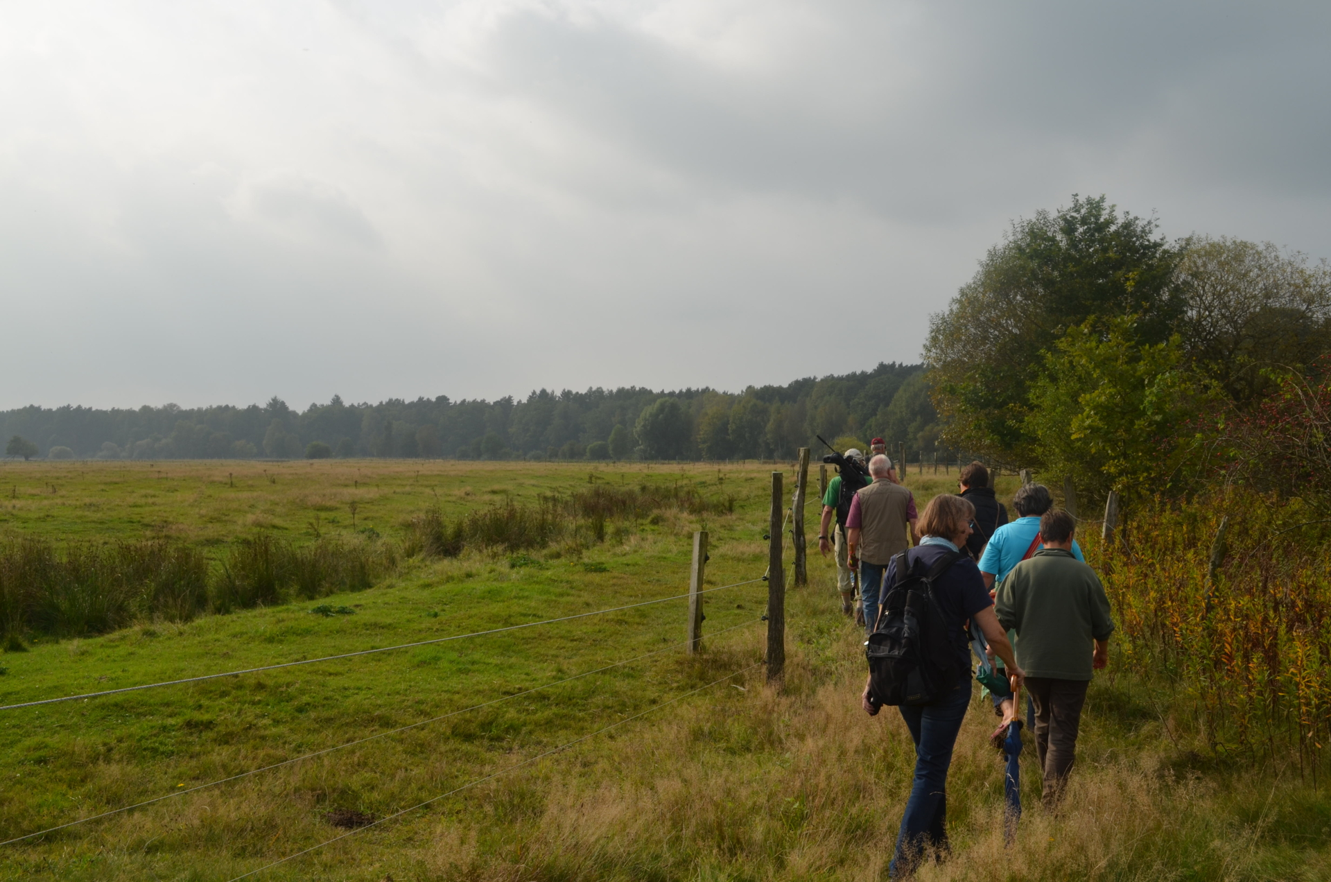 Führung Hornbosteler Hutweide 2