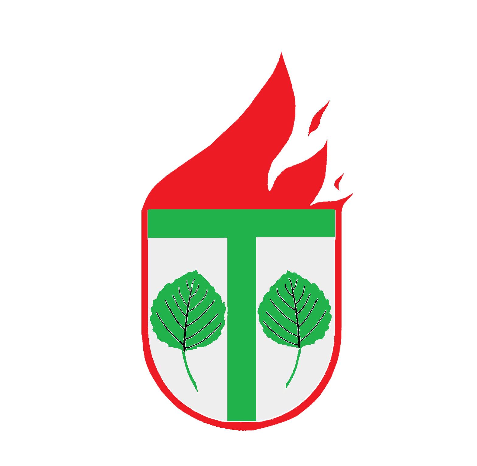Logo Wappen mit Feuer