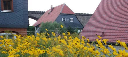 blumen-mit-haeuser