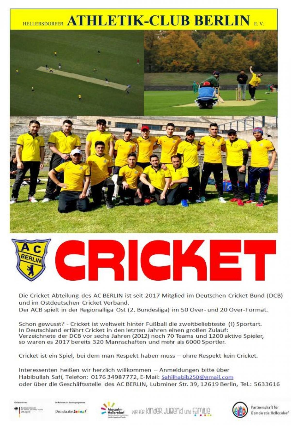 Plakat Cricket