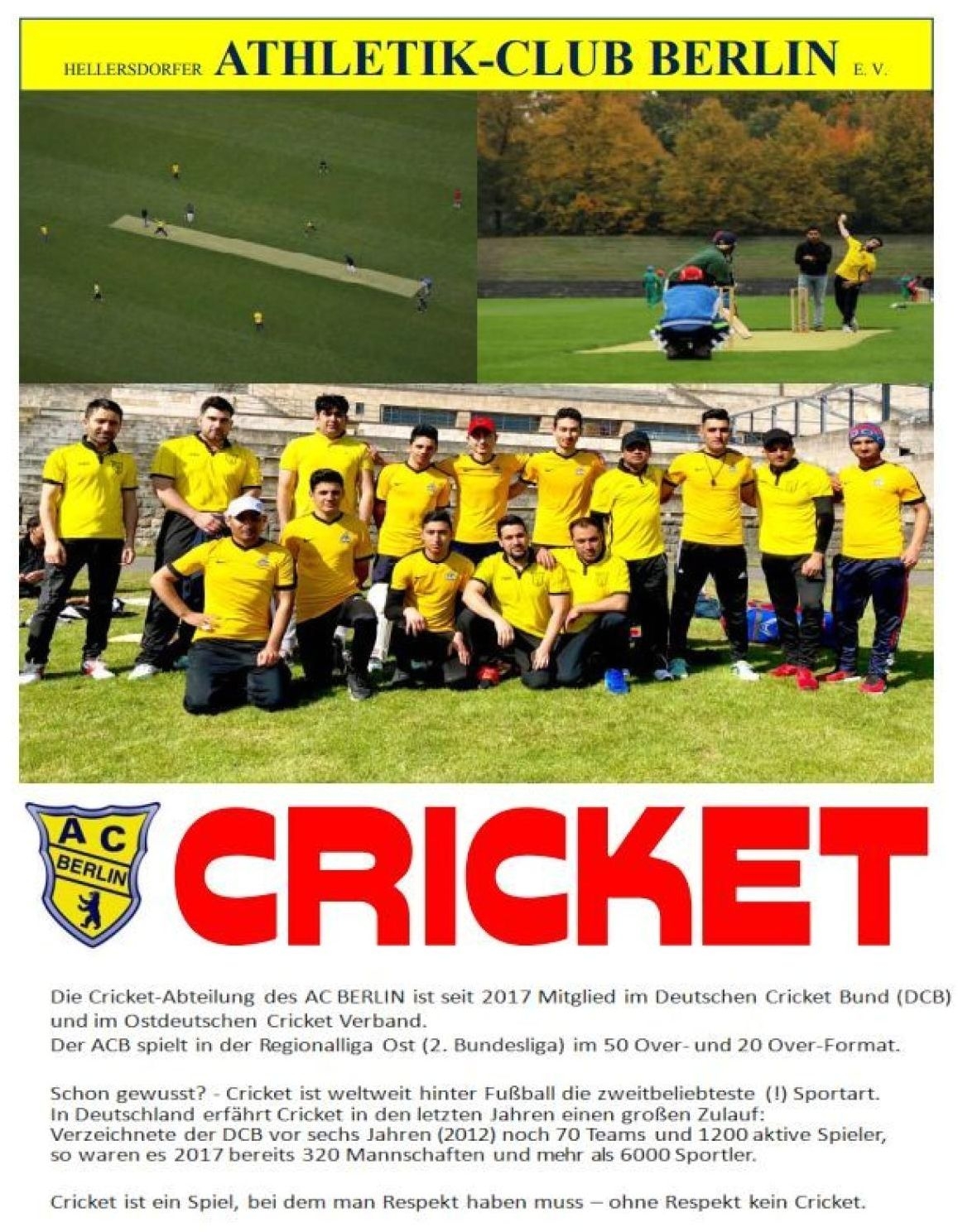 Plakat Cricket