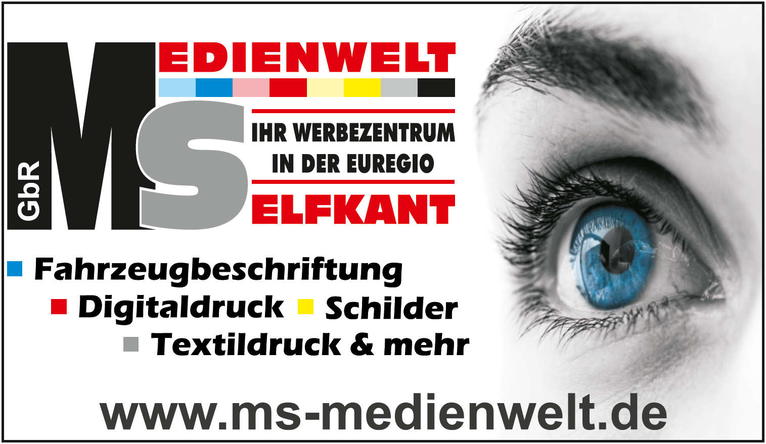 MS Medienwelt