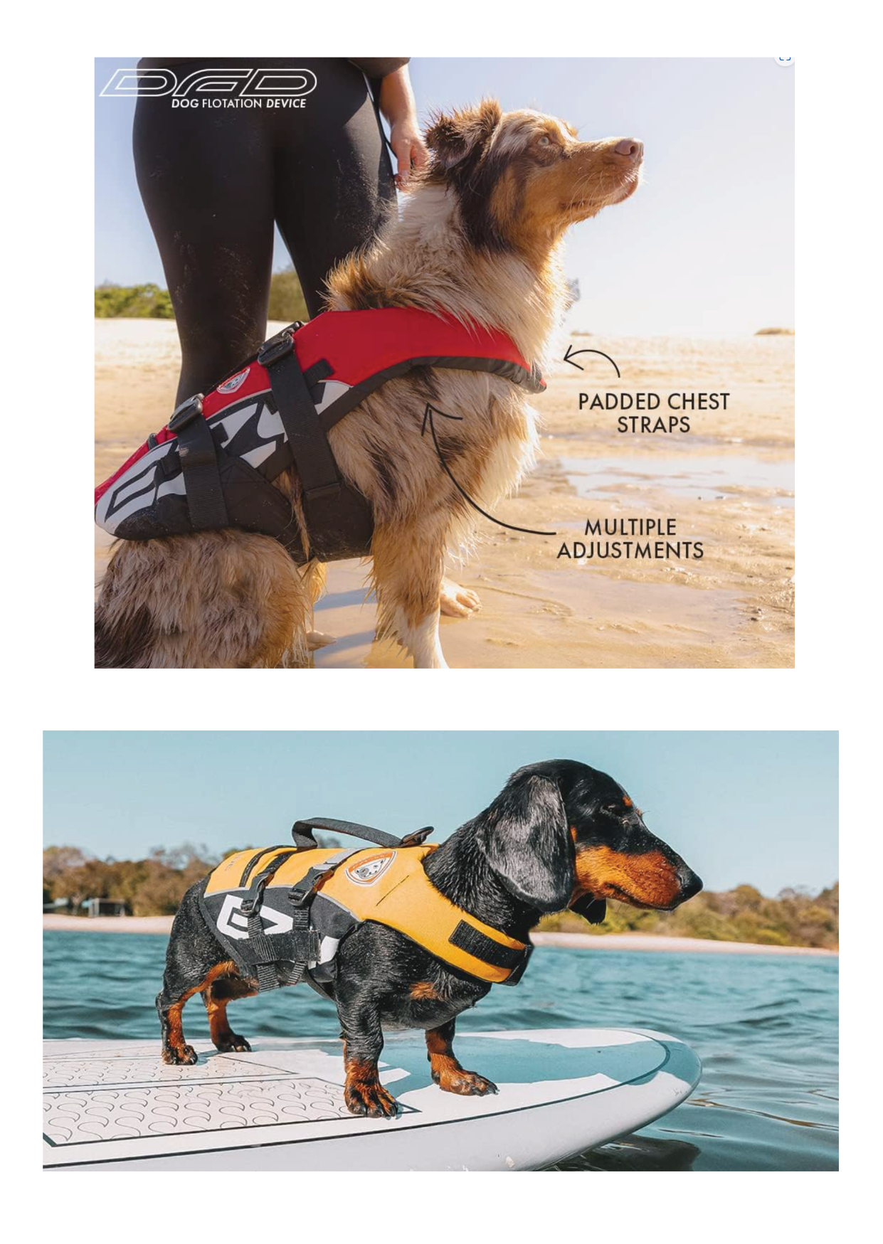 EzyDog DFD Hundeschwimmweste - Beispielbilder