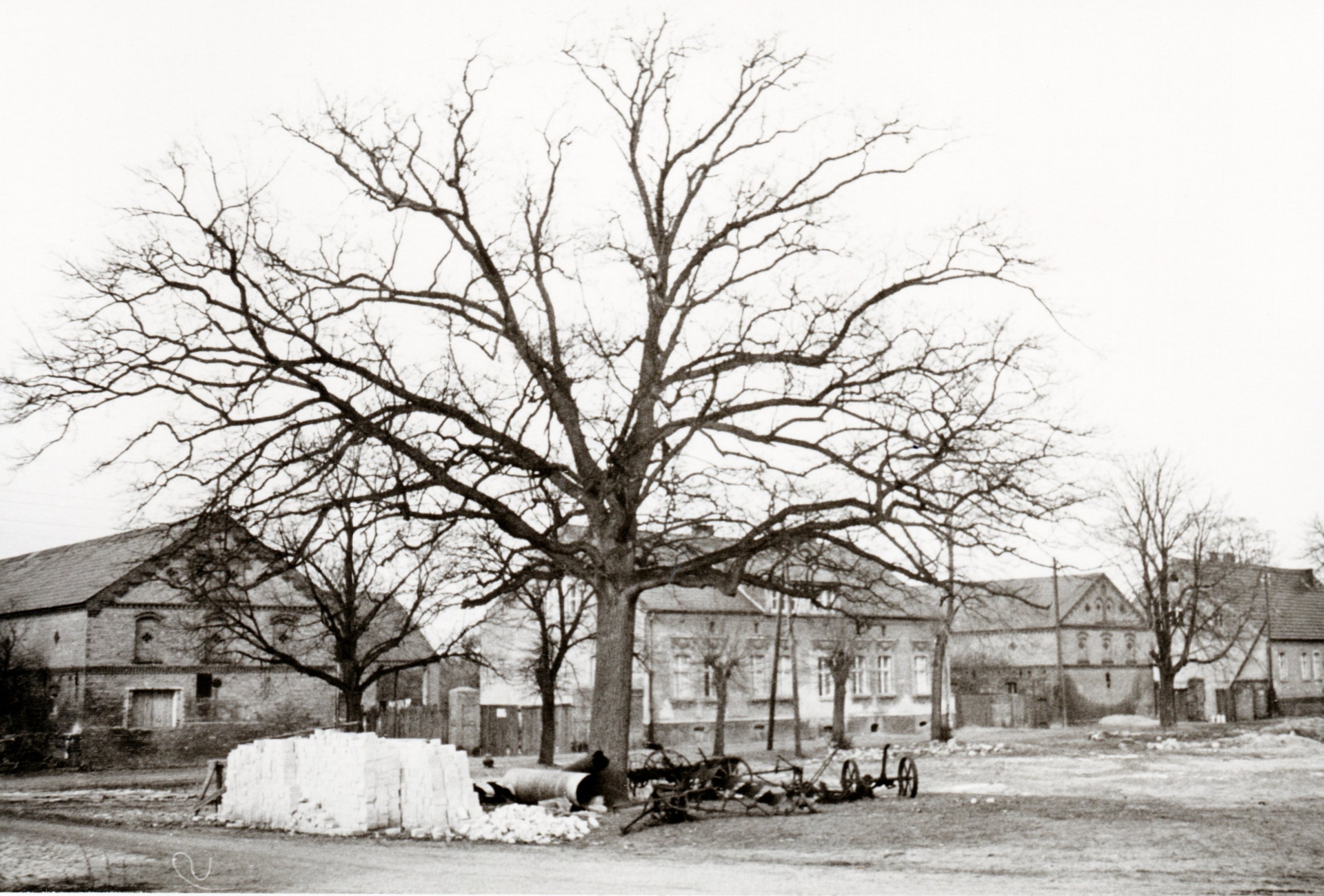 97_Dorfstraße mit Friedenseiche und Bauernhof