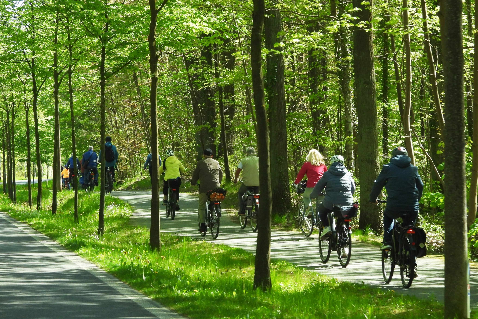 02_Sattelfest_2025_Feldmärkertour_durch_Strausbergs_Wälder
