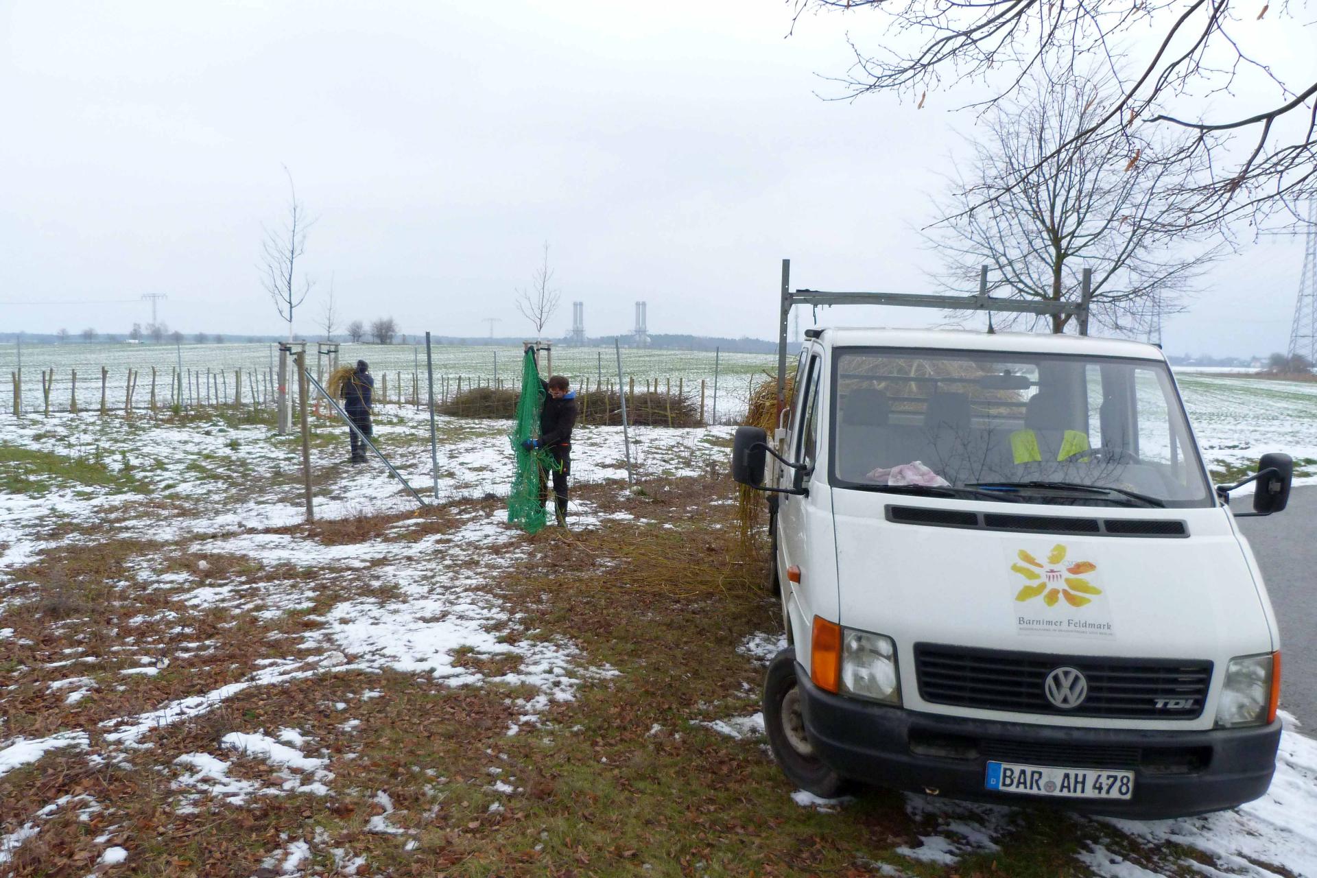 Regionalparkmitarbeiter Michel Kocerka und FÖJler Lenny Rechlin beim Abladen von Gehölzschnitt in Klarahöh