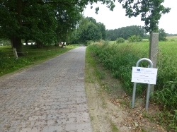 laendl.-weg-gemeinde-gruenow.jpg_287197790