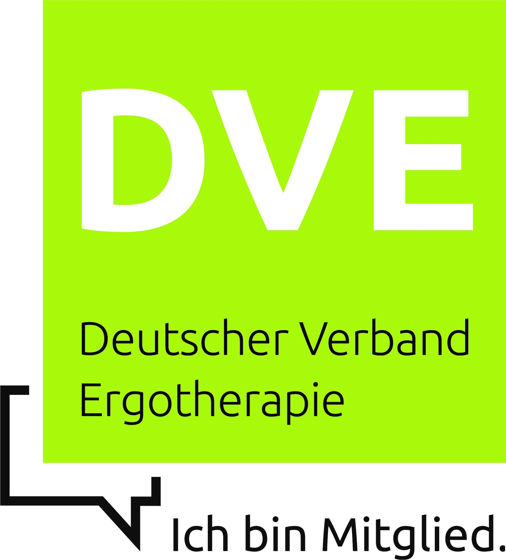 DVE Logo
