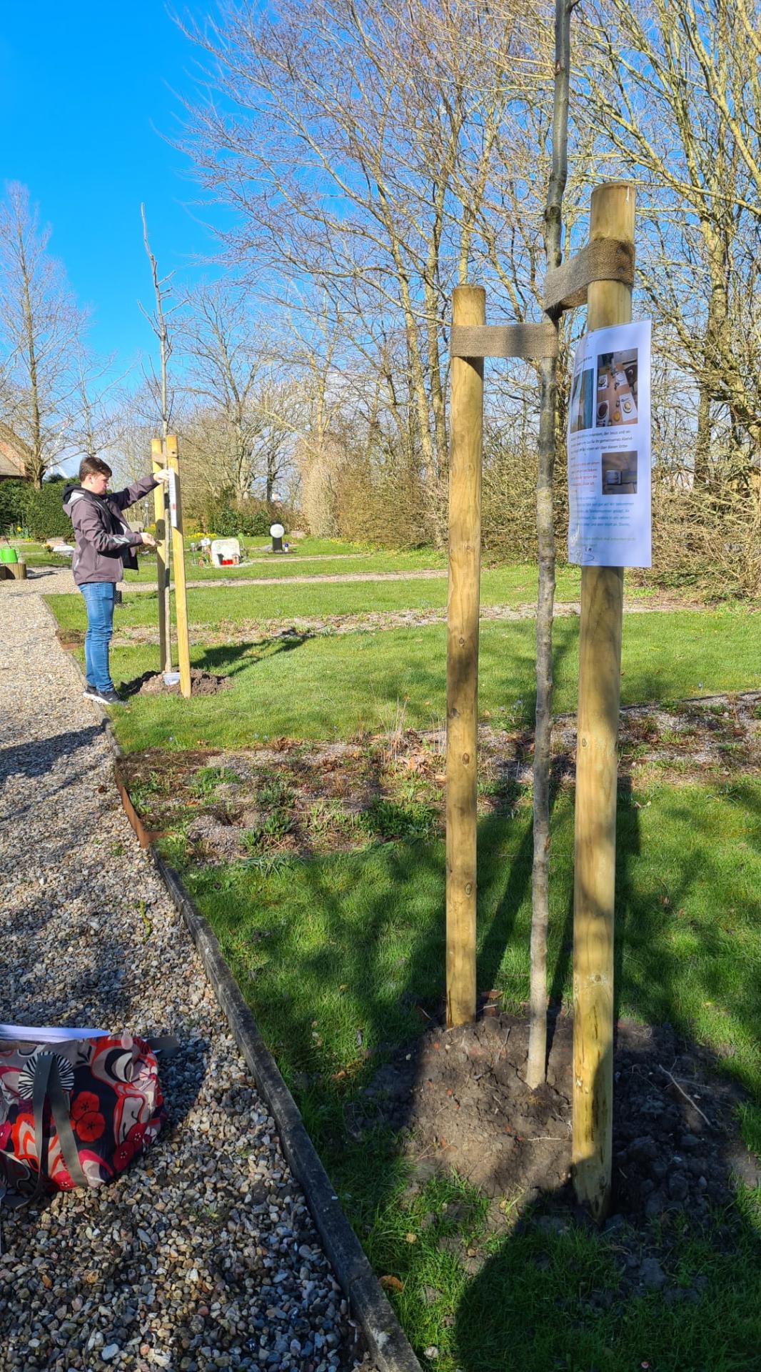 Ann-Katrin Arnold vom Friedhofswerk: Luca hilft beim Befestigen der Plakate