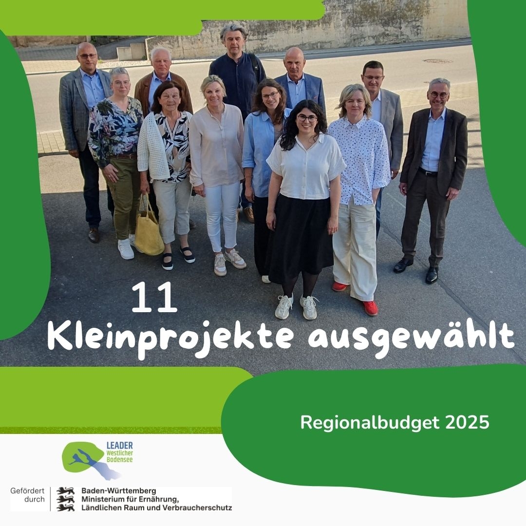 Ergebnis Regionalbudget 2025