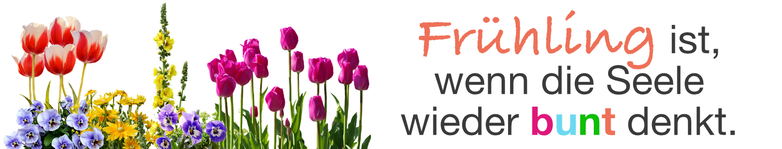 HP_Frühling_neu