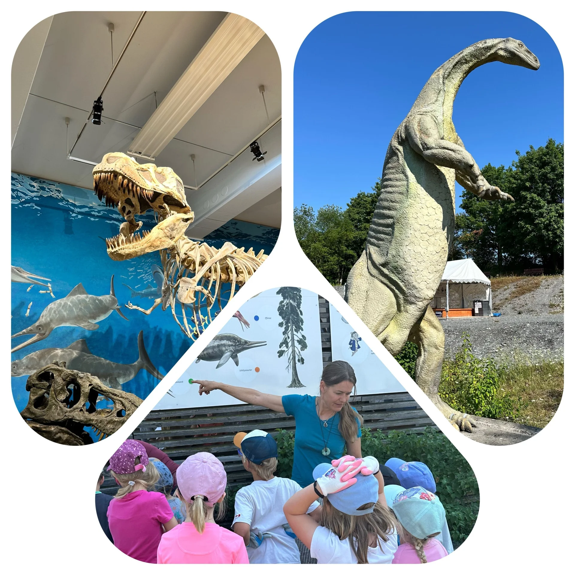 Besuch Urweltmusuem