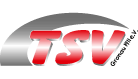 1_Logo_TSV_138x78-85px