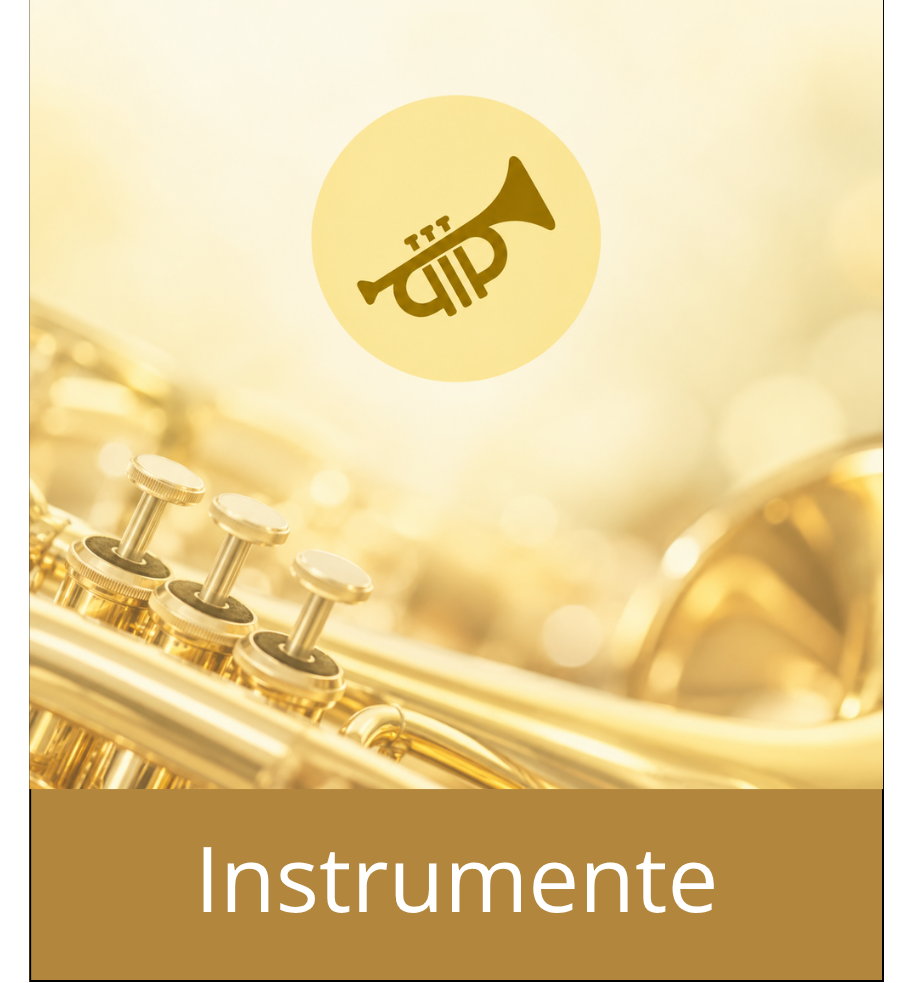 Instrumente
