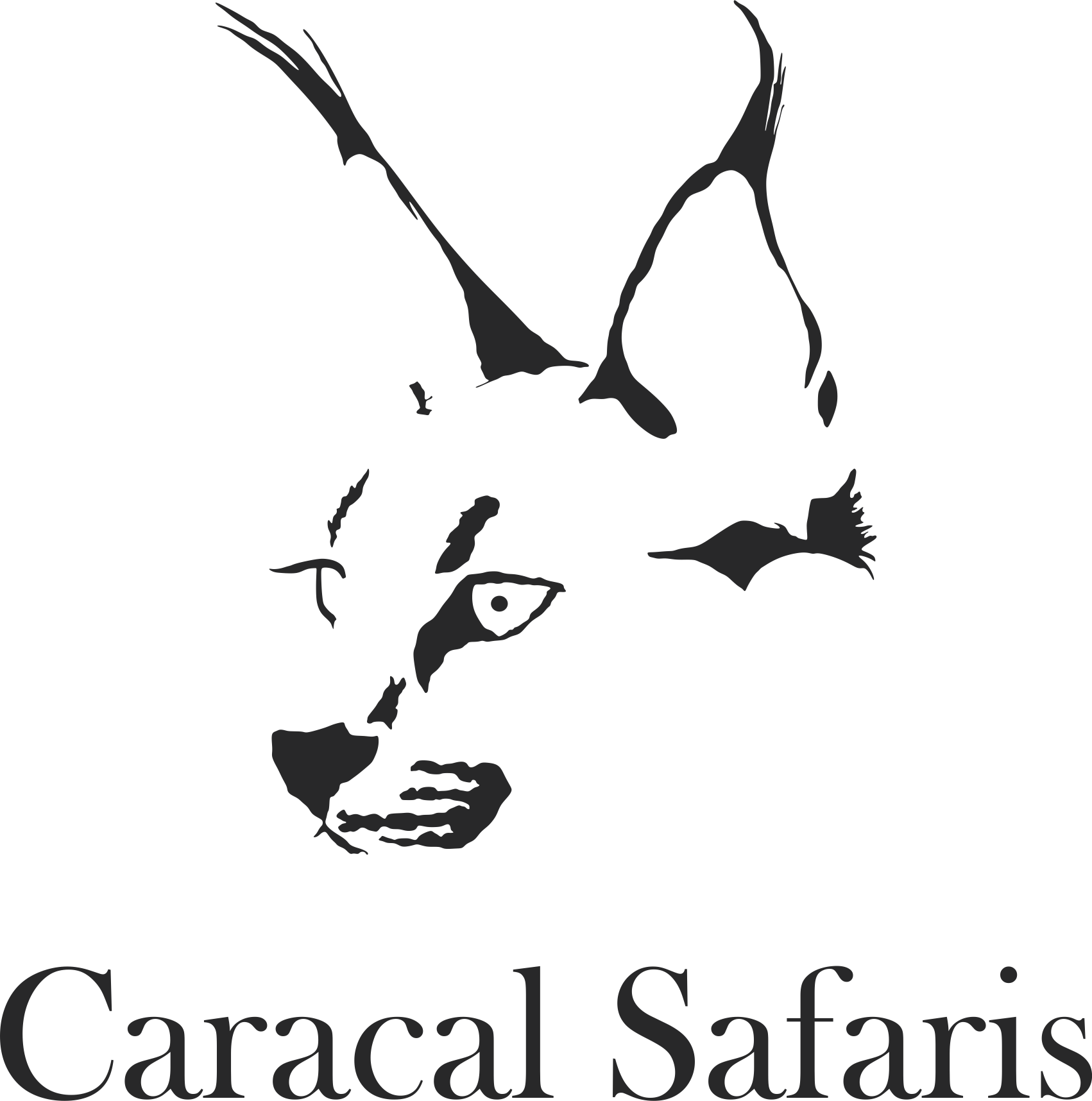 Caracal Hunting Safaris_Logo