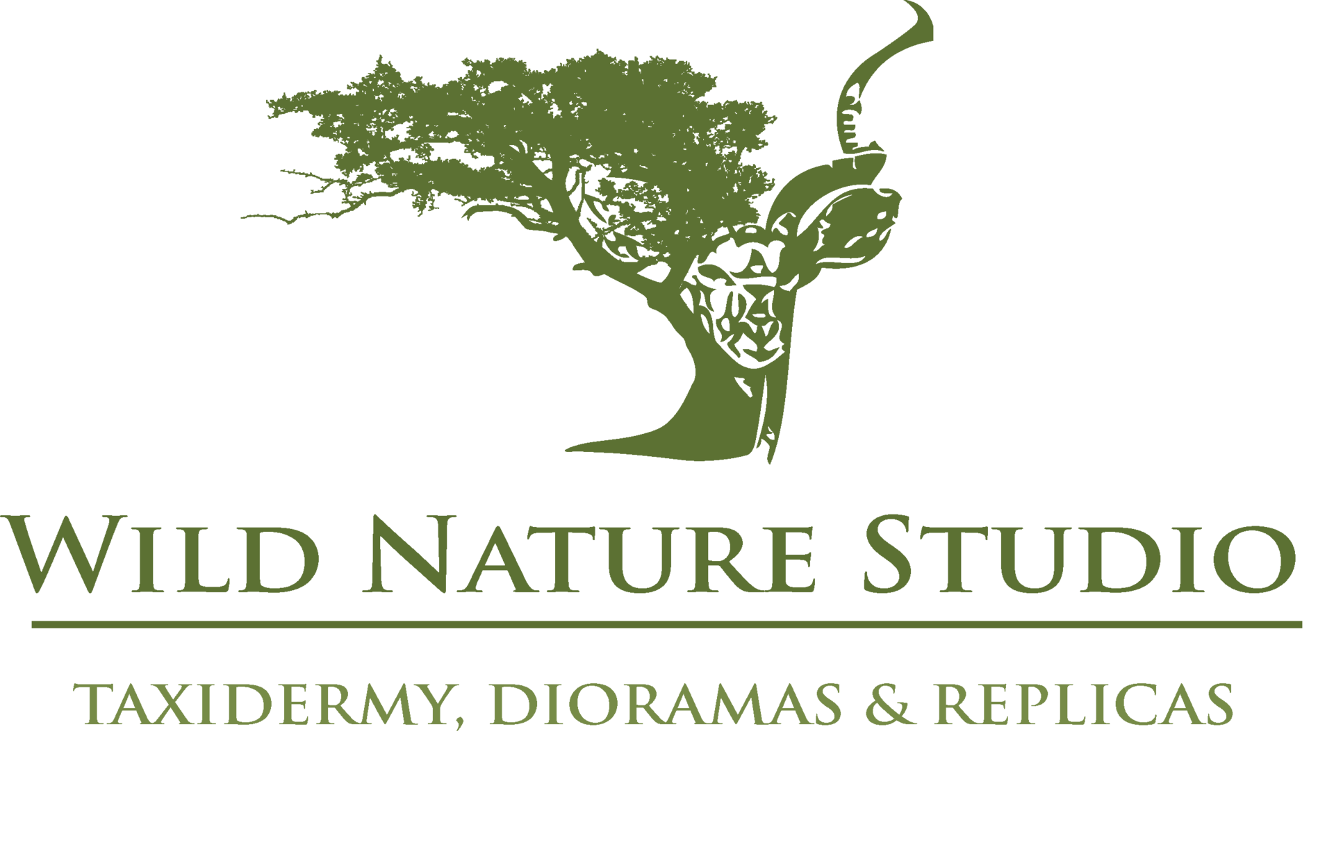 Wild Nature Studio