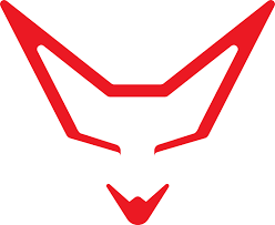 Racefoxx Logo