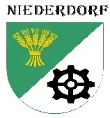 Logo N