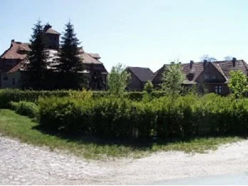 Ganz
